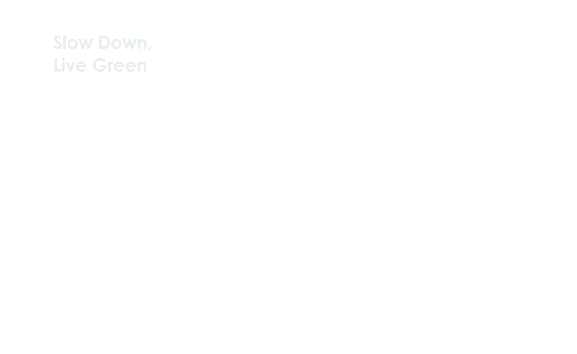 Slow Down,Live Green