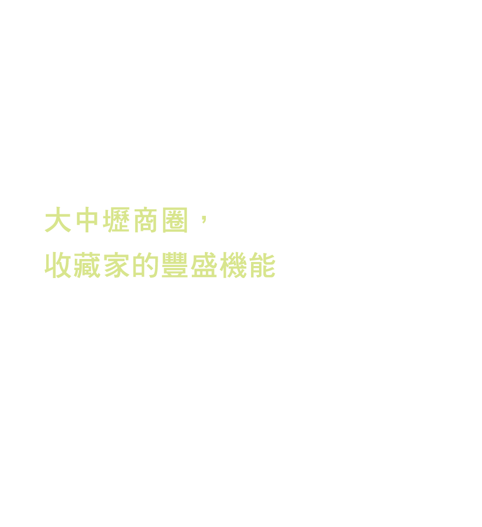 大中壢商圈,收藏家的豐盛機能